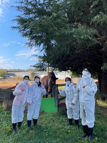 Animal science field work
