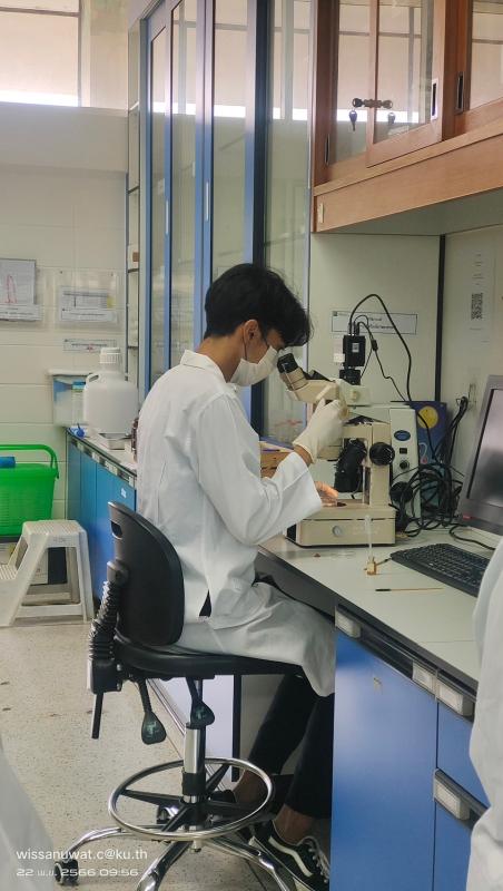 Microscope work